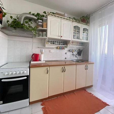 Danube Apartment Vukovar Bagian luar foto