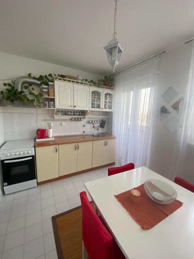 Danube Apartment Vukovar Bagian luar foto