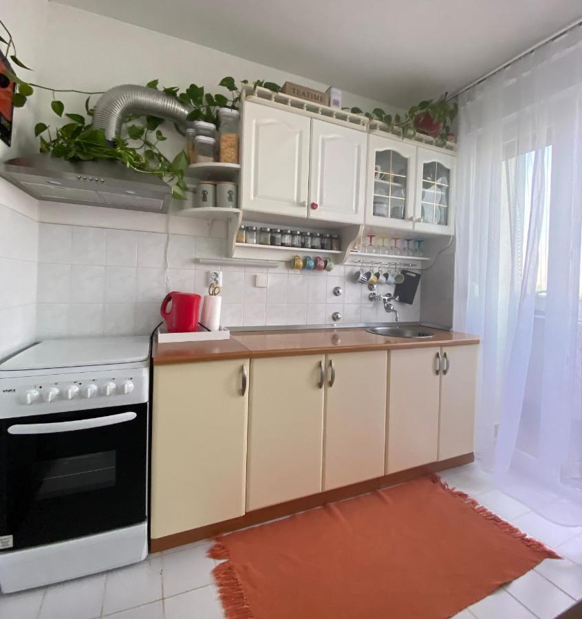 Danube Apartment Vukovar Bagian luar foto